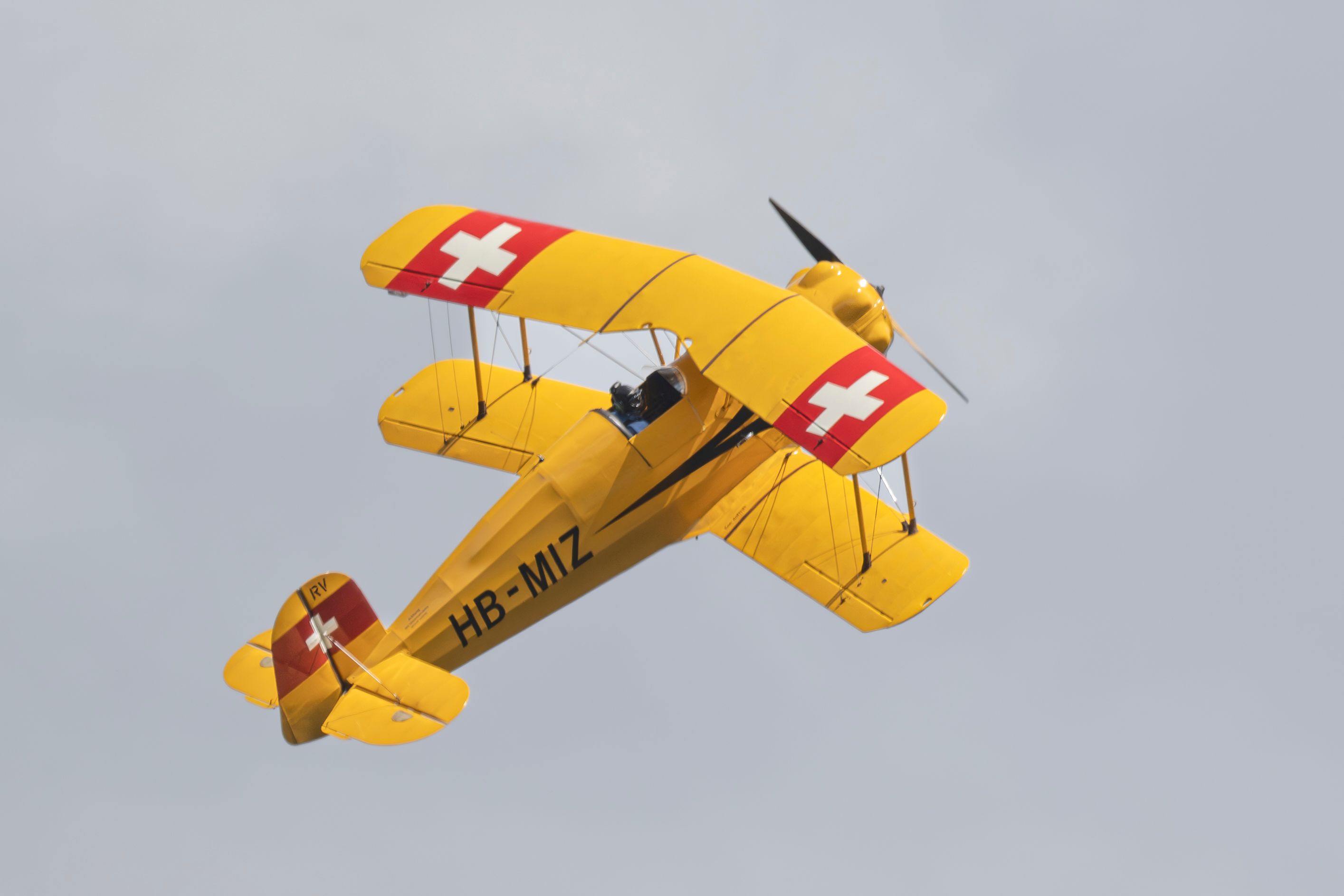 Die Dittinger Flugtage sind zurück!